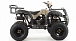 Квадроцикл MOTOLAND (МОТОЛЕНД) 200 ALL ROAD в Липецке