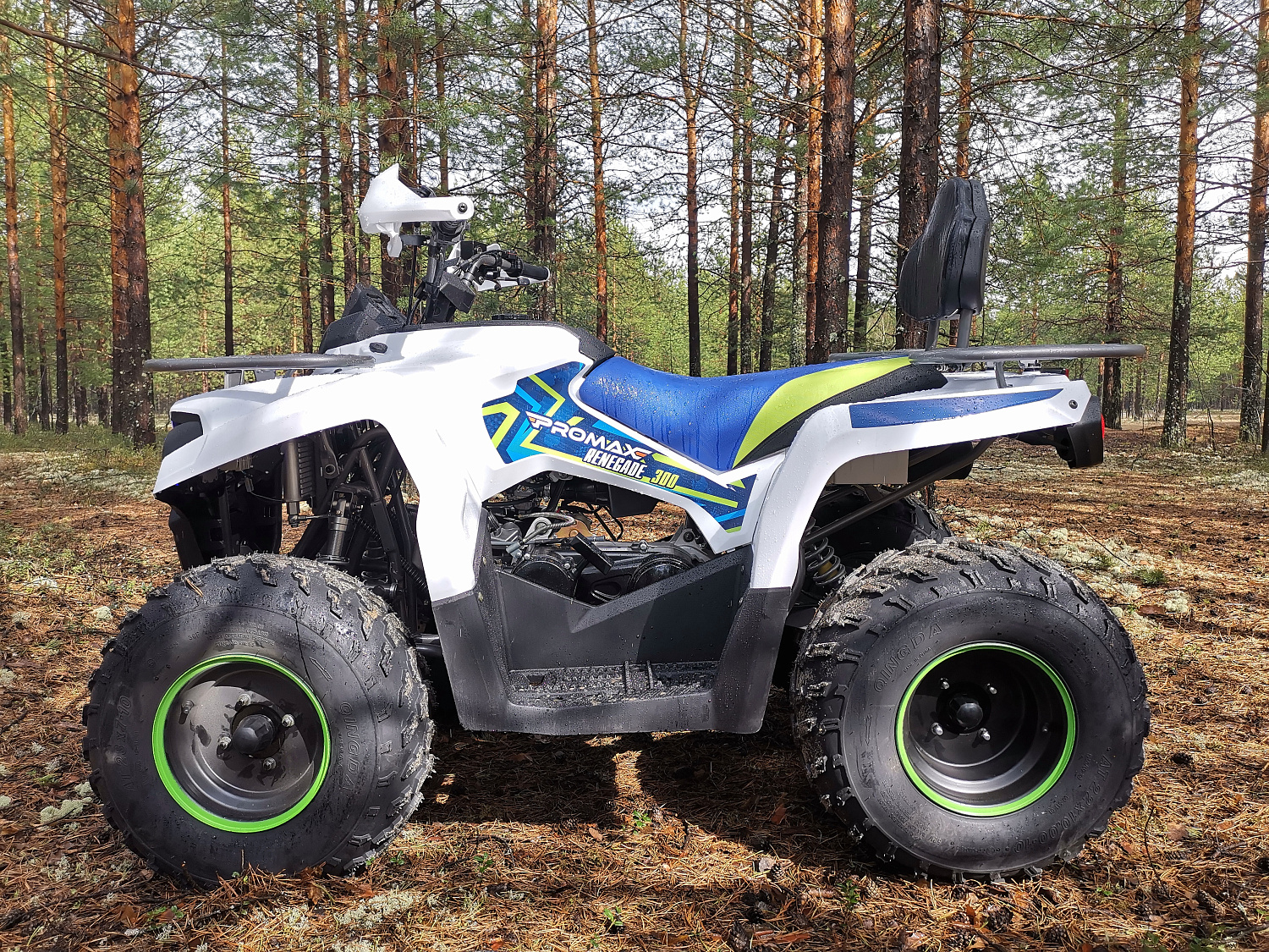 Квадроцикл PROMAX RENEGADE 280 в Липецке