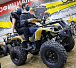 Квадроцикл PROMAX ATV 250 в Липецке