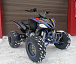 Квадроцикл PROMAX RAPTOR 300 NEW RedBull в Липецке