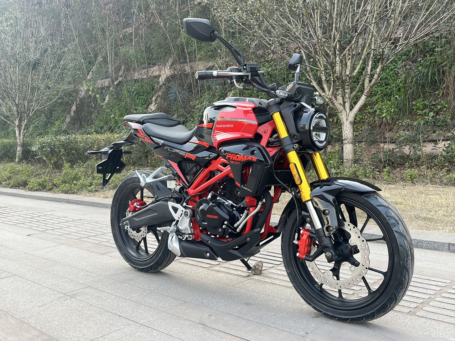 Мотоцикл PROMAX CB300 в Липецке