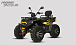 Квадроцикл PROMAX TAURUS 300 MAX-PRO LONG в Липецке